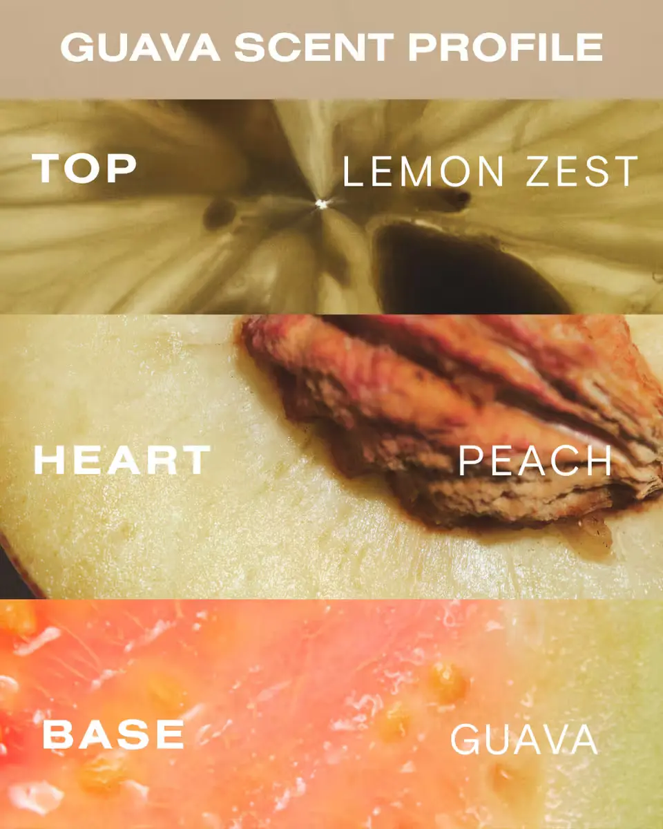Guava Air Dry Kit - Image 6