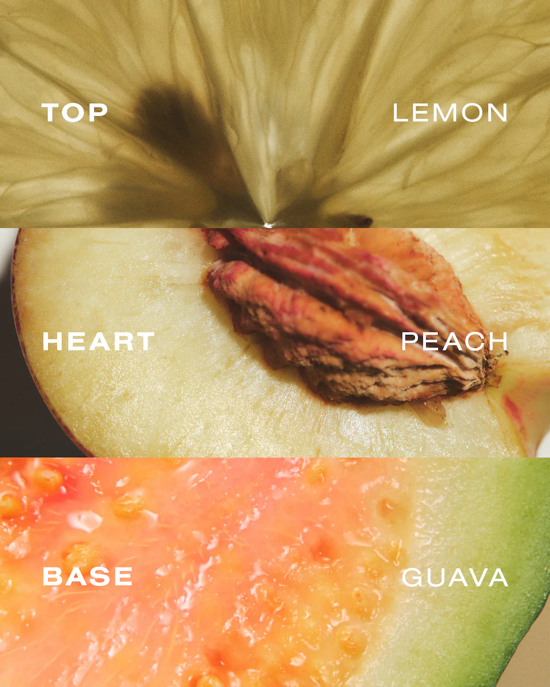Perfume Mist de Guava - Image 6